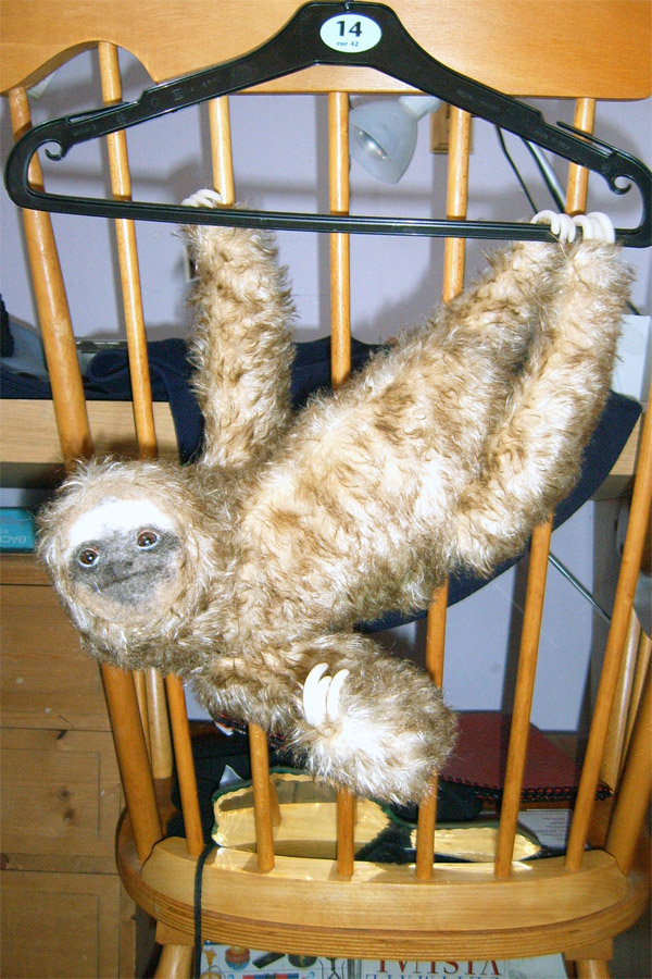 Slothlet-Hanging-small.jpg