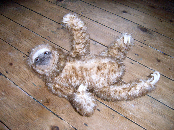 Slothlet-Laid-small.jpg