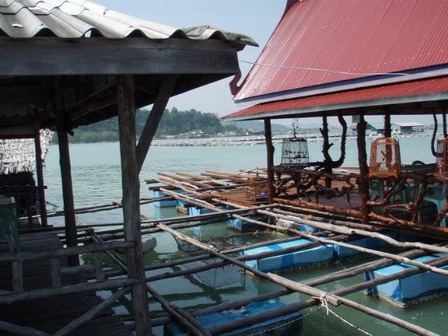 Phuket_Restaurant.jpg