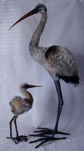 heron-pair.jpg