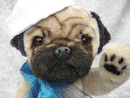 pug puppy teddy