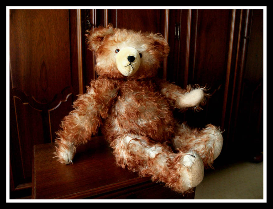 Hermann_Teddy_small_size01_for_TT.jpg