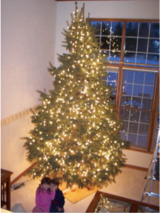 2005Tree.jpg