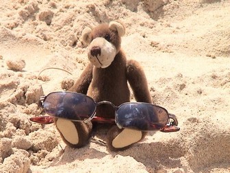 bear-sunglasses.jpg