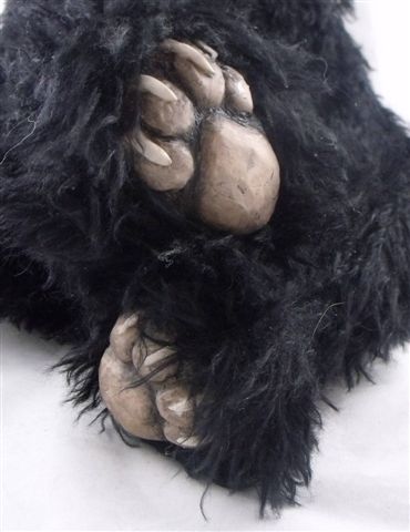 BLACK-BEAR-005.jpg-FEET.jpg