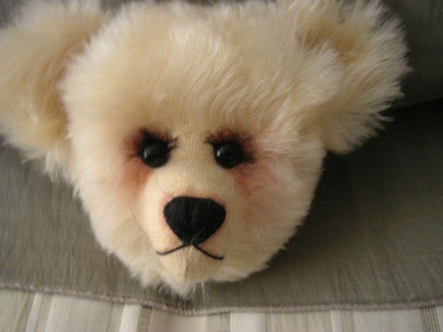 teddy-head-004.jpg