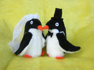 Wedding-Penguins-2.jpg