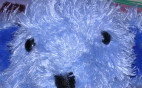 blue-bear-head-2.jpg