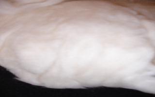 Roving-Wool-felting-007-7.jpg