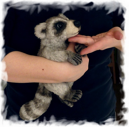 1365841968_baby_raccoon_tt1.jpg