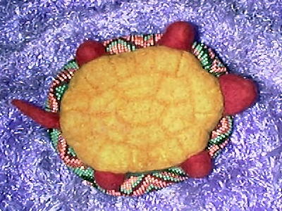 Turtlesetc002.JPG