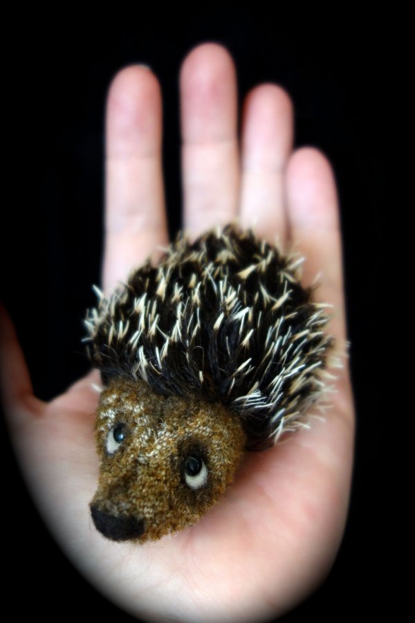 1392028920_hedgehog6.jpg