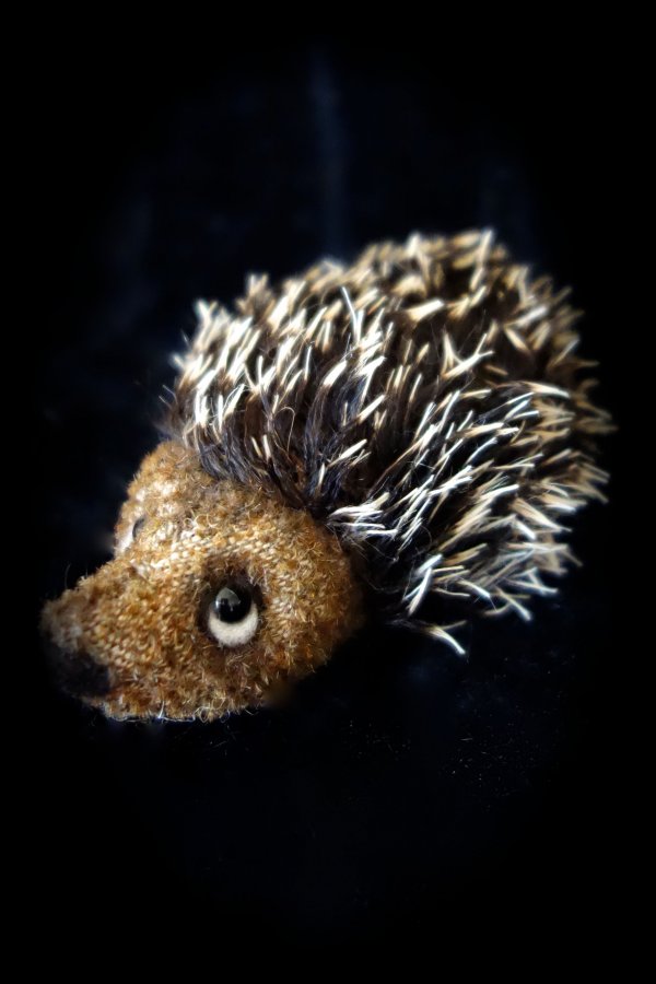 1392029007_hedgehog10.jpg