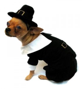 1353471619_pilgrim-dog-costume-279x300.jpg