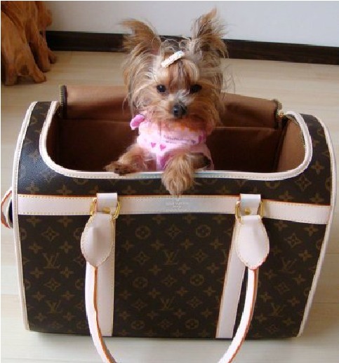 1354247166_dog_bag.jpg