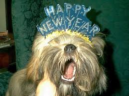 1357017338_2013_happy_new_year_puppy.jpg