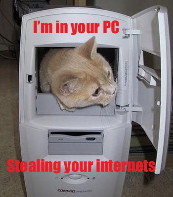 1400992252_funny_pictures-cat_in_cpu.jpg