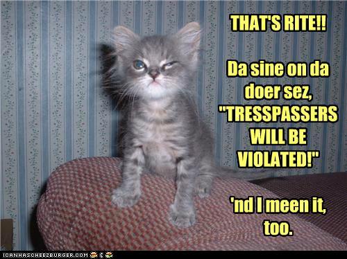 1401763170_funny-pictures-dont-mess-wif-da-kitteh.jpg