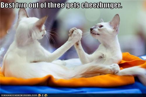 1402632993_funny_pictures-cats_arm_wrestling.jpg