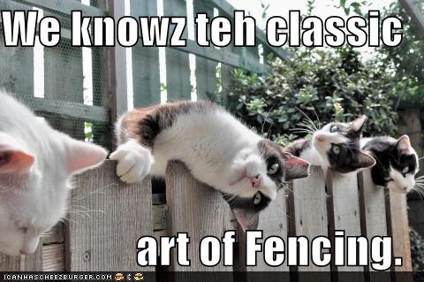 1402735434_funny-pictures-we-knowz-teh-classic-art-of-fencing.jpg