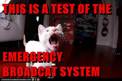 1402866918_funny-pictures-this-is-a-test-of-the-emergency-broadcat-system.jpg