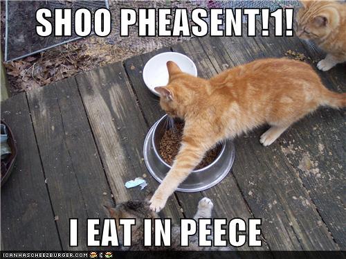 1402876904_funny-pictures-shoo-pheasent-i-eat-in-peece1.jpg