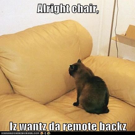 1403453320_funny-pictures-alright-chair-iz-wantz-da-remote-backz.jpg