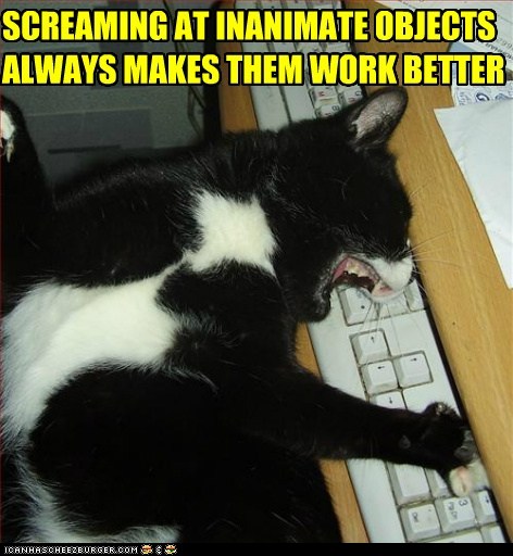 1405506687_funny-pictures-ctrl-alt-meow.jpg