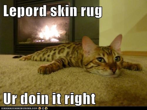 1405734674_funny-pictures-lepord-skin-rug-ur-doin-it-right.jpg