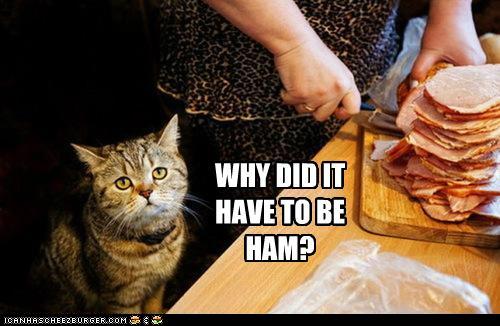 1406866436_funny-pictures-no-cat-hams-bad-for-you1.jpg