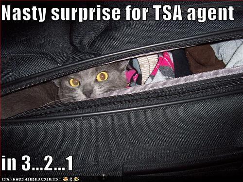 1408087150_funny_pictures-nasty_surprise_for_tsa_agent.jpg