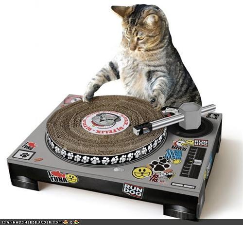 1409319933_kitty_disc_jockey.jpg