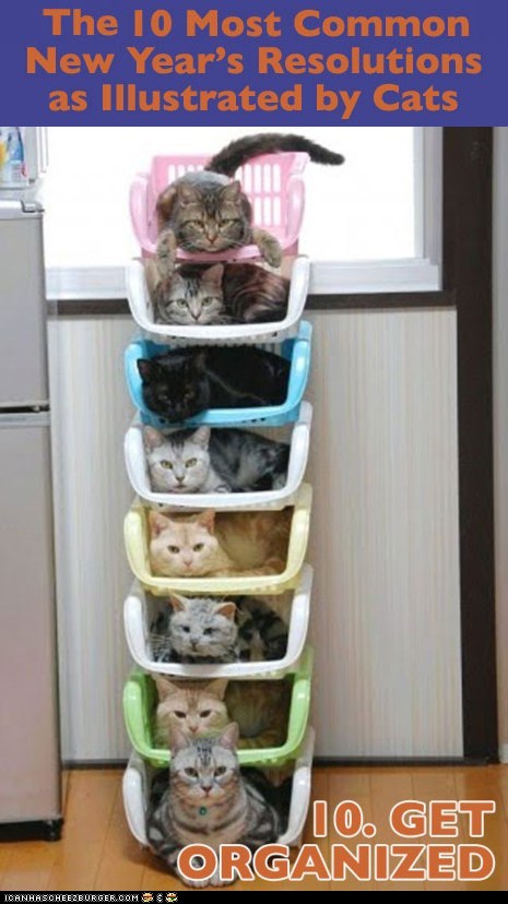 1428555864_funny-pictures-cats-get-organized-10.jpg