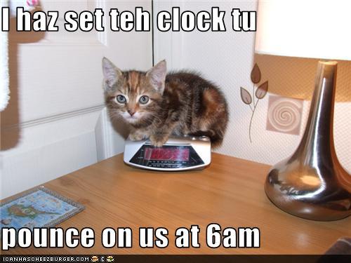 1428986250_funny-pictures-i-haz-set-teh-clock-tu-pounce-on-us-at-am.jpg