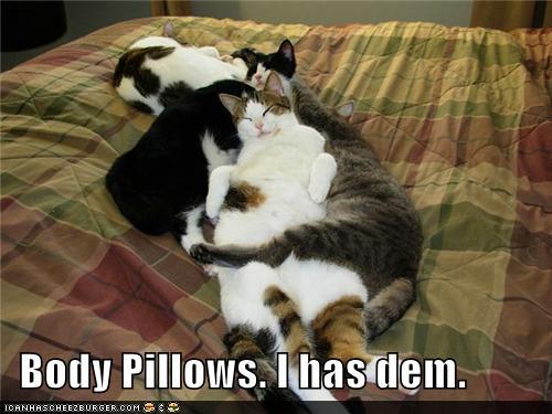 1429243156_funny-pictures-body-pillows-i-has-dem.jpg