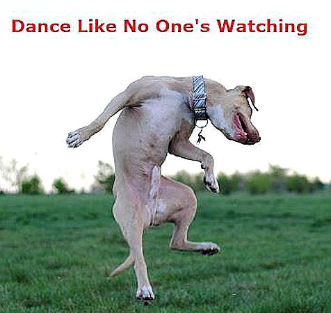 1370484642_dance_like_no_onr_s_watching.jpg