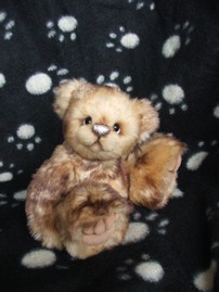 showbears2_001a.jpg