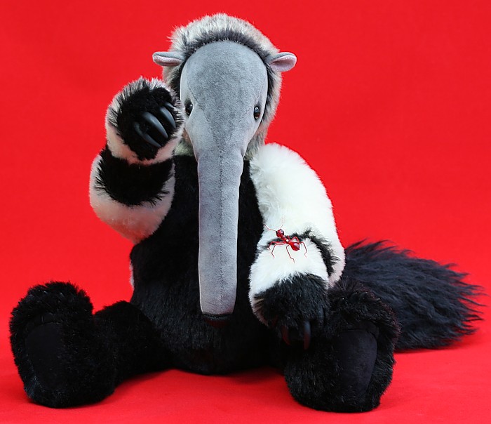 anteater008-1.jpg