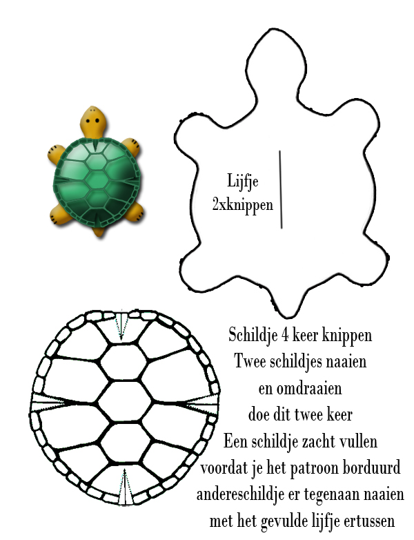 schildpad-copy-kl-tt.jpg